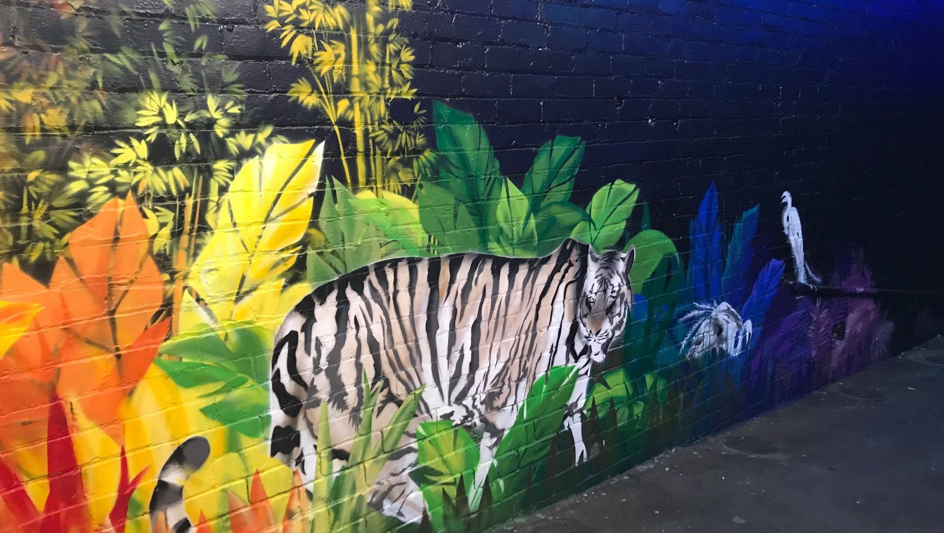 Sweet Affairs, Parnell banner