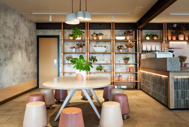 A compact contemporary café or hospitality interior with a round communal table and colourful low stools in the foreground. A full-height timber-and-metal shelving display holds numerous potted plants along the rear wall, while a tiled service counter with a speckled stone benchtop and illuminated front occupies the right side. The space features exposed dark ceiling beams, track lighting, a textured concrete-look wall, and warm timber-toned flooring.