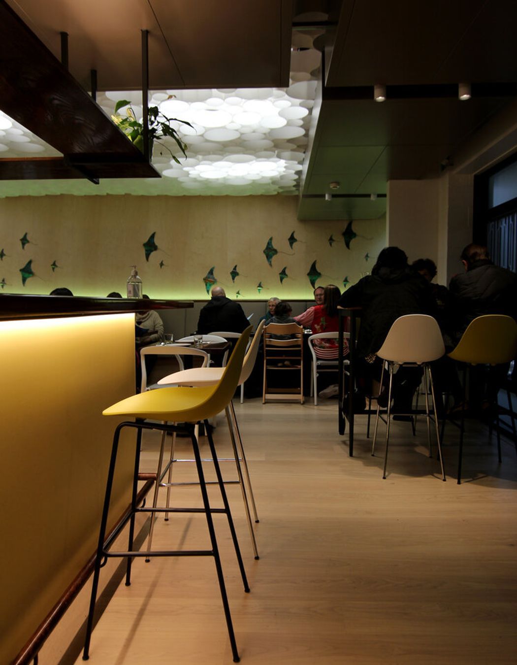 Modern Thai Restaurant