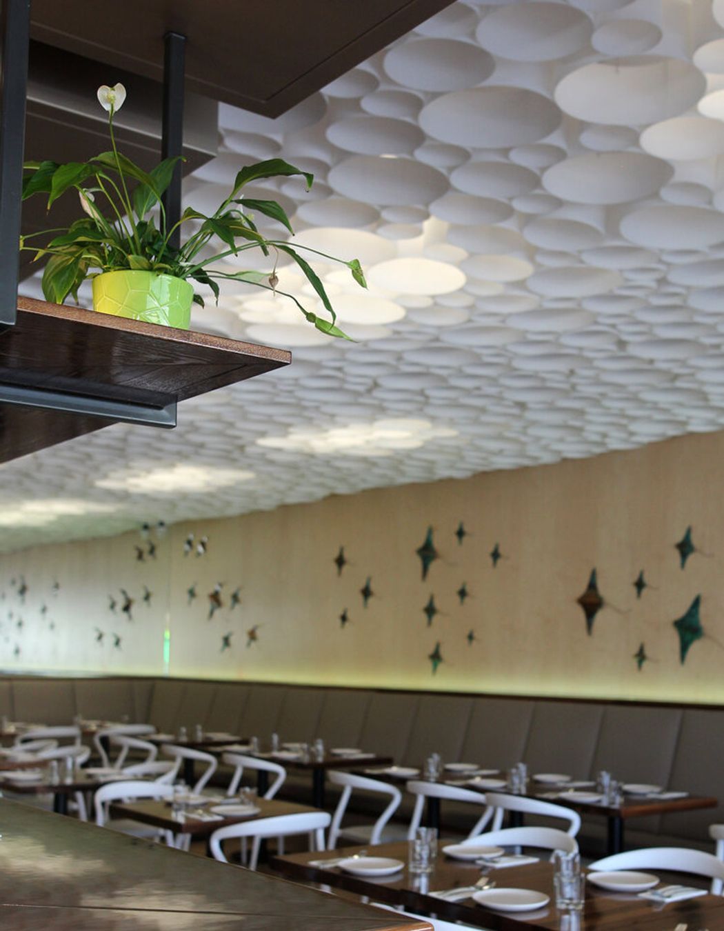 Modern Thai Restaurant