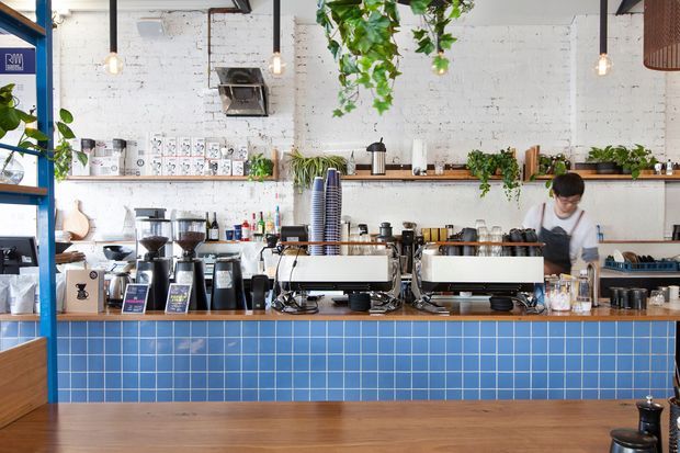 A bright industrial-style coffee shop interior viewed from the customer side of the service counter. The foreground has a warm timber counter, while the bar front is clad in small blue square tiles. Two espresso machines, grinders, coffee equipment and cups sit on the counter, with open shelves displaying plants, products and glassware against a white painted brick wall. Pendant lights, exposed ceiling elements and a barista reinforce the café setting.