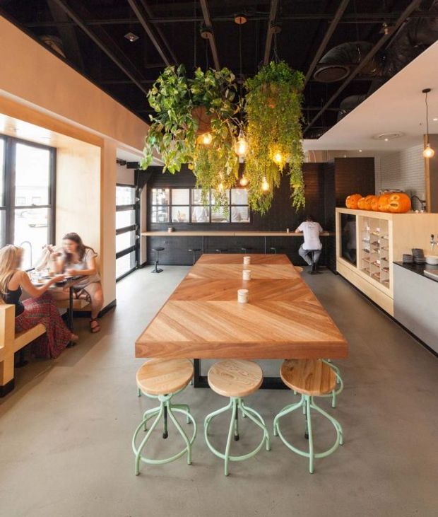 A bright contemporary commercial-style dining and kitchen space with a long solid timber communal table and matching stools, surrounded by exposed dark ceiling structure, pendant lights, and abundant hanging greenery. The room includes a compact black kitchen with open shelving and a pale island or service counter, while large windows and a warm peach-toned wall add natural light and colour.