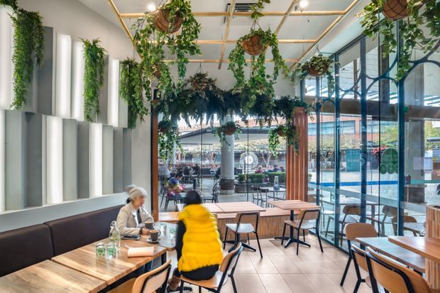 Bright contemporary café or casual dining interior with extensive floor-to-ceiling glazing, timber tables, black-framed chairs, a long upholstered banquette, and abundant hanging and wall-mounted greenery. The space has a light tiled floor, sculptural vertical wall panels, and a timber-framed ceiling grid with suspended planters.