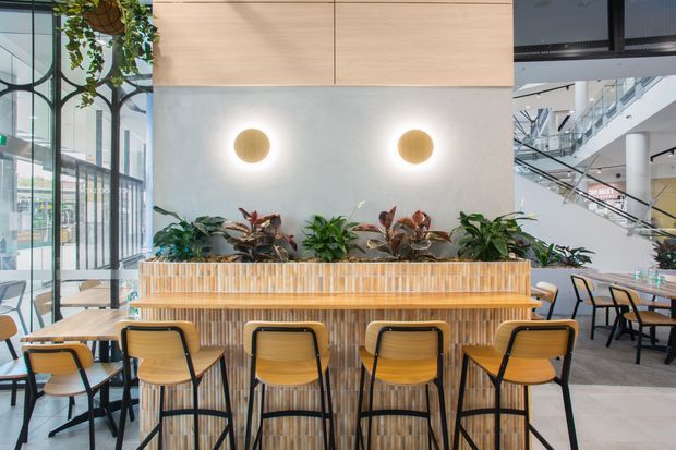 A bright contemporary commercial hospitality or dining space with a long timber communal bar and matching wooden bar stools in the foreground. A built-in timber planter separates the seating from a pale textured feature wall with two round wall lights and abundant greenery. Floor-to-ceiling glazing, exposed structural elements, and an open multi-level atrium are visible in the background.