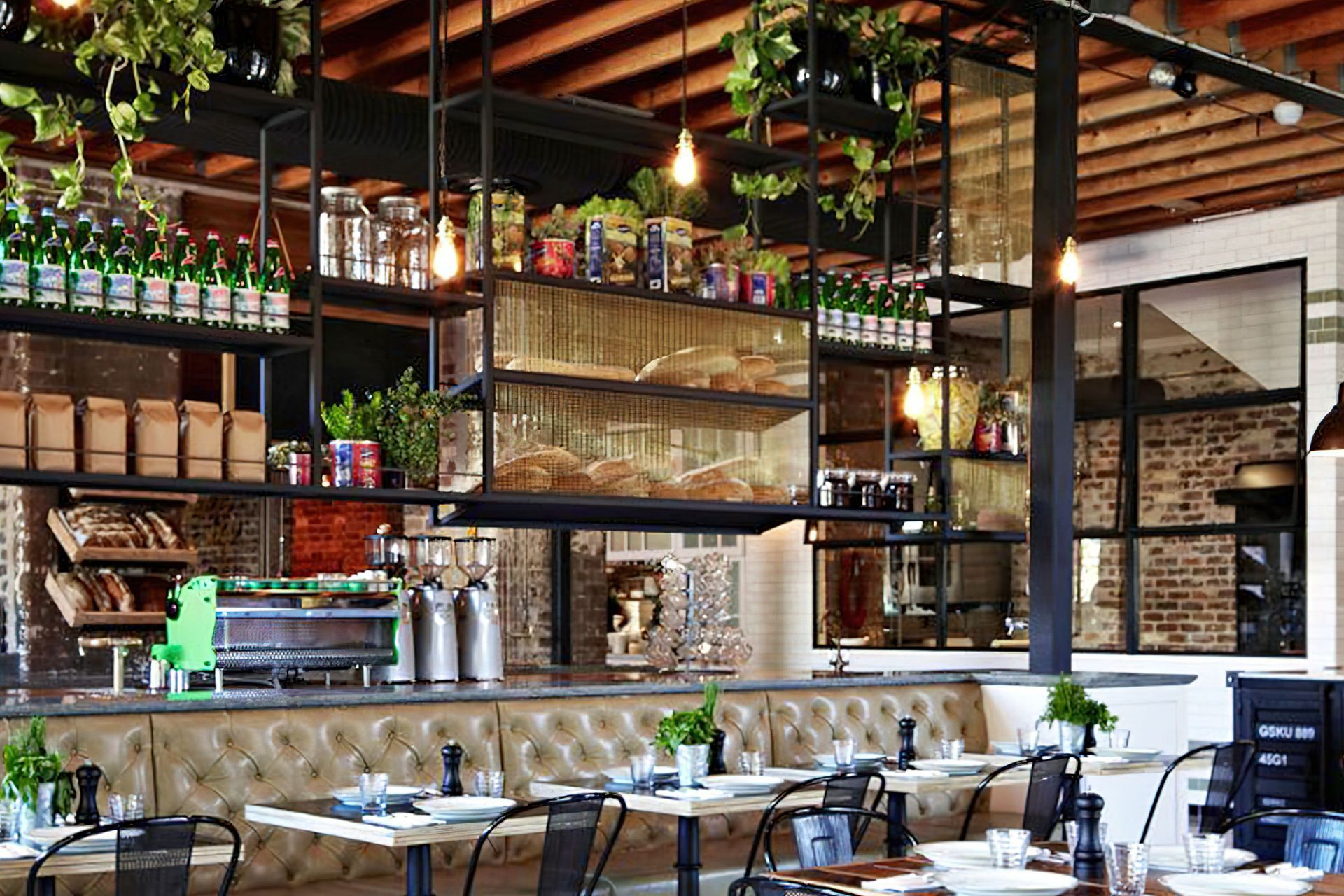 ##The Grounds of Alexandria