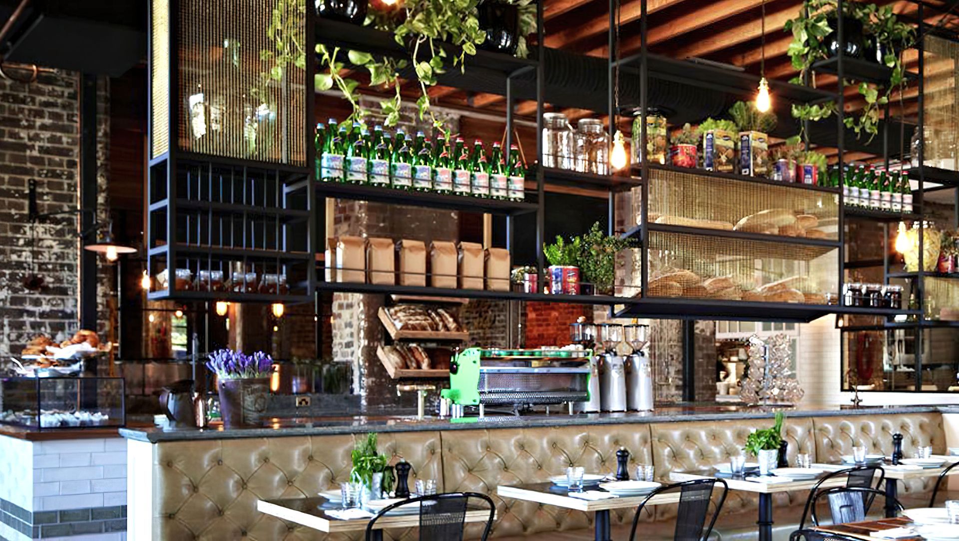 The Grounds of Alexandria banner