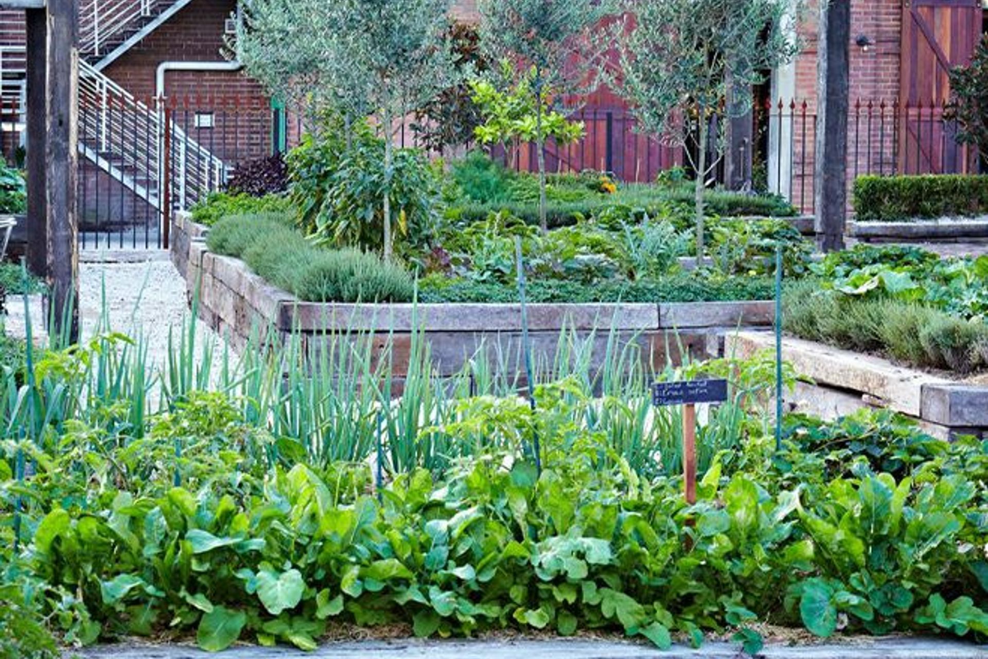 ##The Grounds of Alexandria