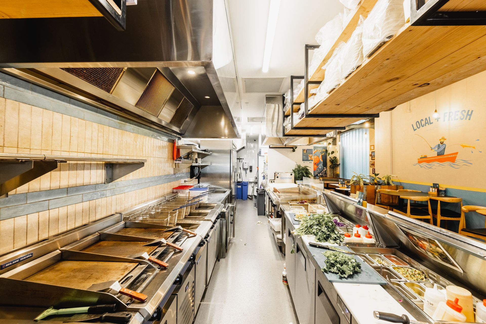 Taco Medic | Auckland