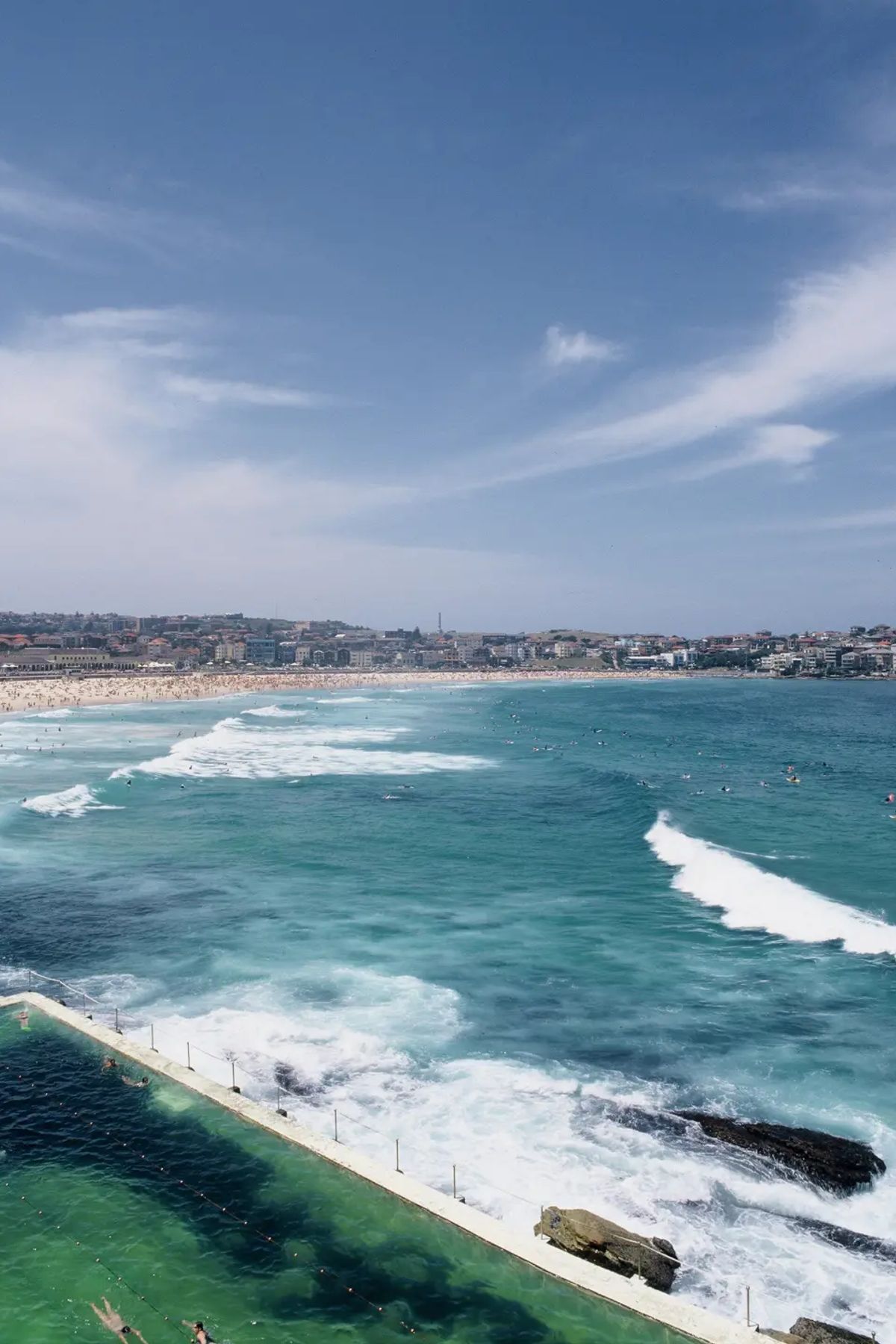 Bondi Icebergs