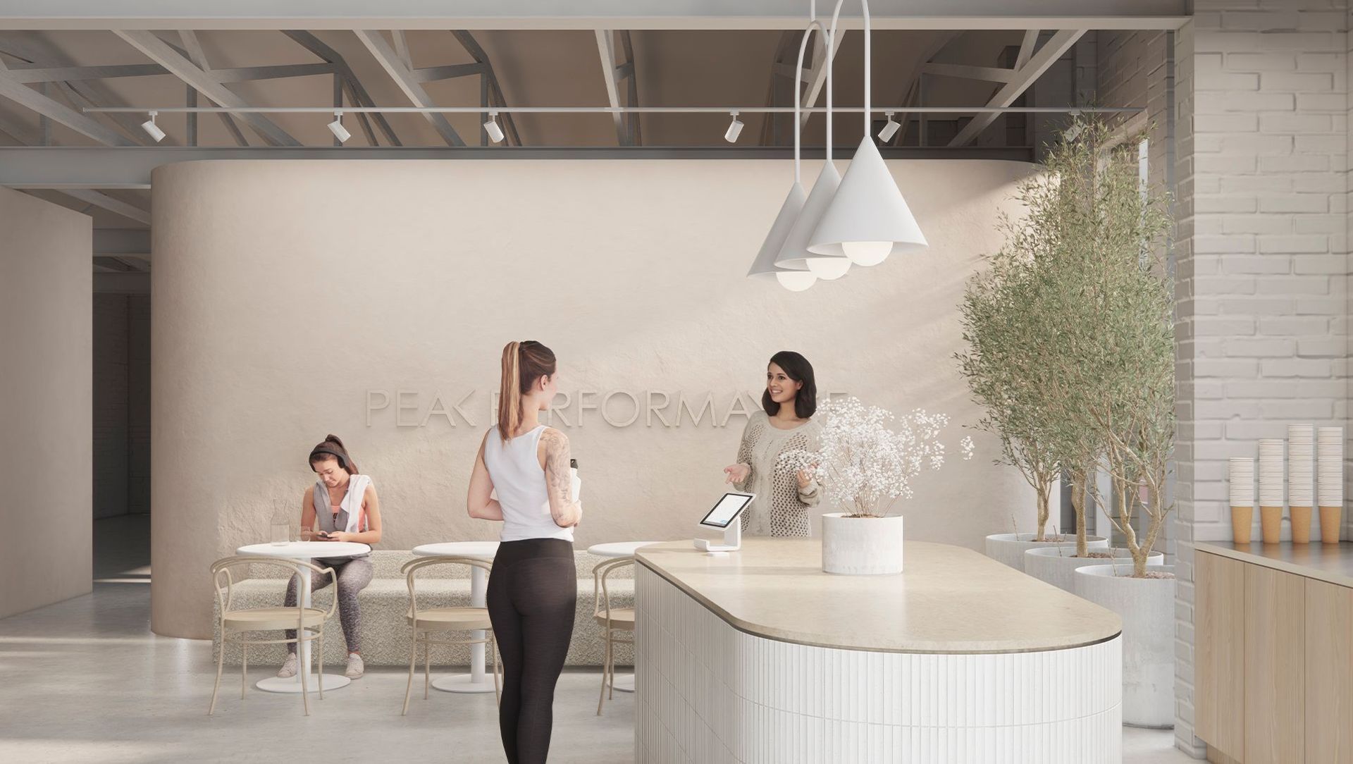 Peak Performance banner