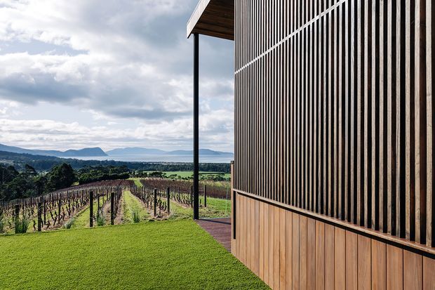 Exterior architectural view of a contemporary timber-clad building beside a neatly maintained lawn and vineyard. The facade combines vertical timber battens with horizontal timber boarding, while a slim dark structural post supports a projecting roof or canopy. Rolling hills and a distant body of water are visible beyond the vineyard under a partly cloudy sky.
