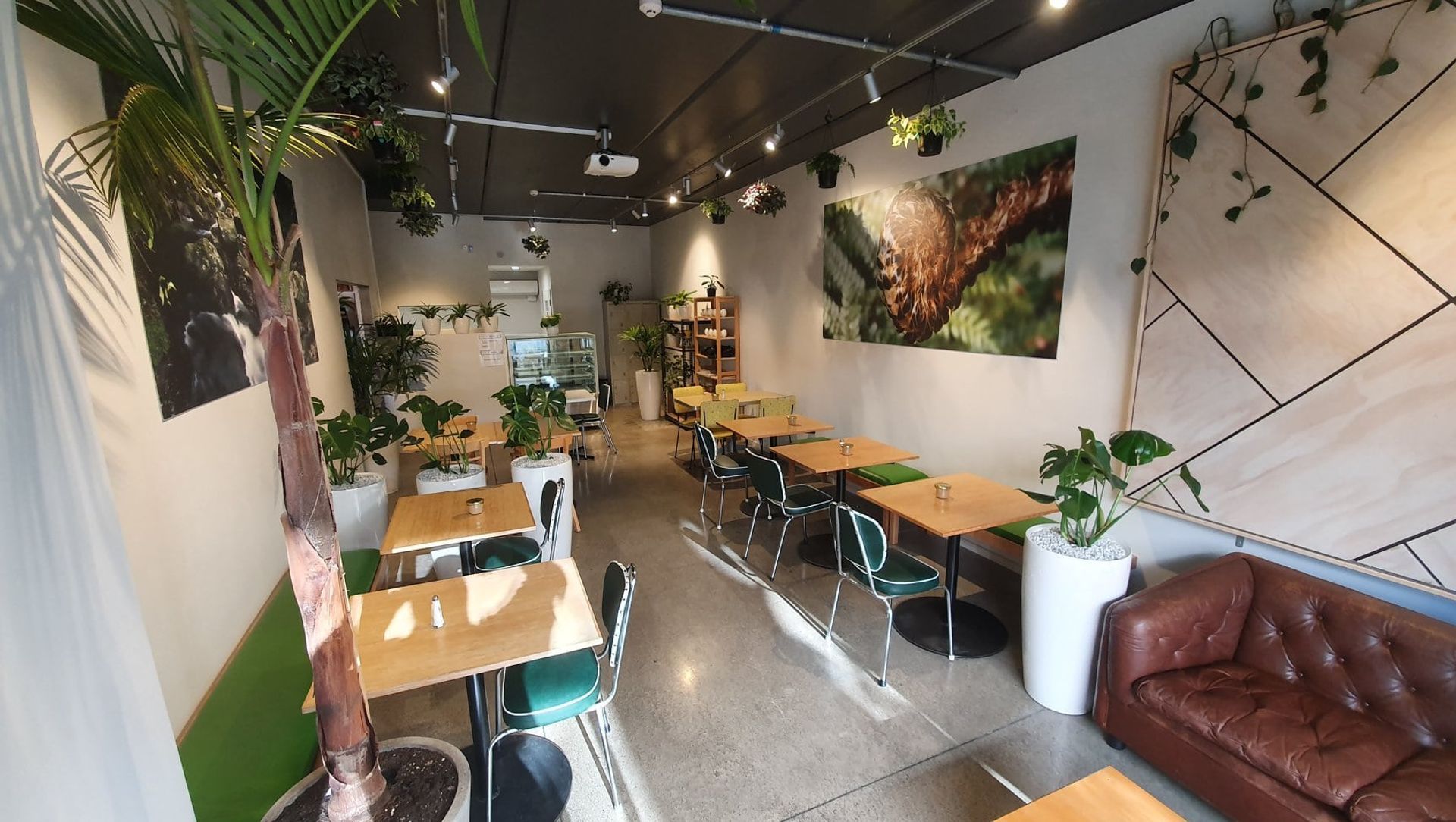 Fools of Desire banner