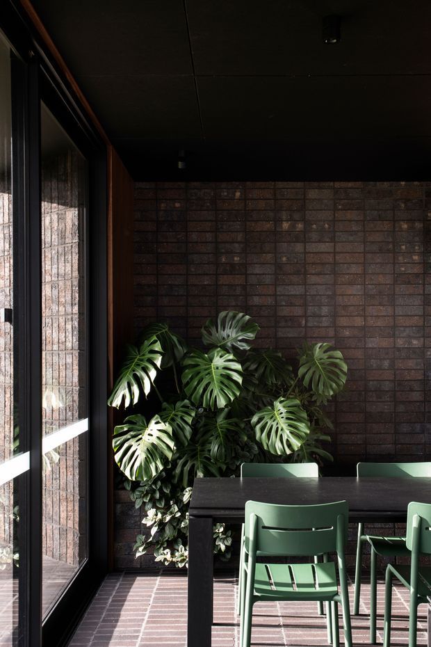 A dark, refined dining area with a black ceiling, exposed dark brick feature wall, full-height black-framed glazing, and a dark dining table surrounded by muted green chairs. Large leafy indoor plants add an organic contrast, while strong sunlight creates bright rectangular patterns across the brick floor and furniture.
