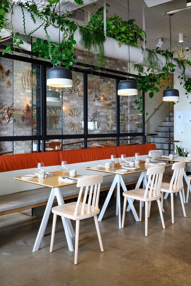 A bright contemporary restaurant dining area with a long built-in banquette upholstered in red and light grey, pale timber tables and chairs, exposed polished concrete flooring, black-framed glazed partitions, suspended dome pendant lights, and abundant trailing indoor plants. The space combines industrial materials with warm, inviting hospitality furnishings.