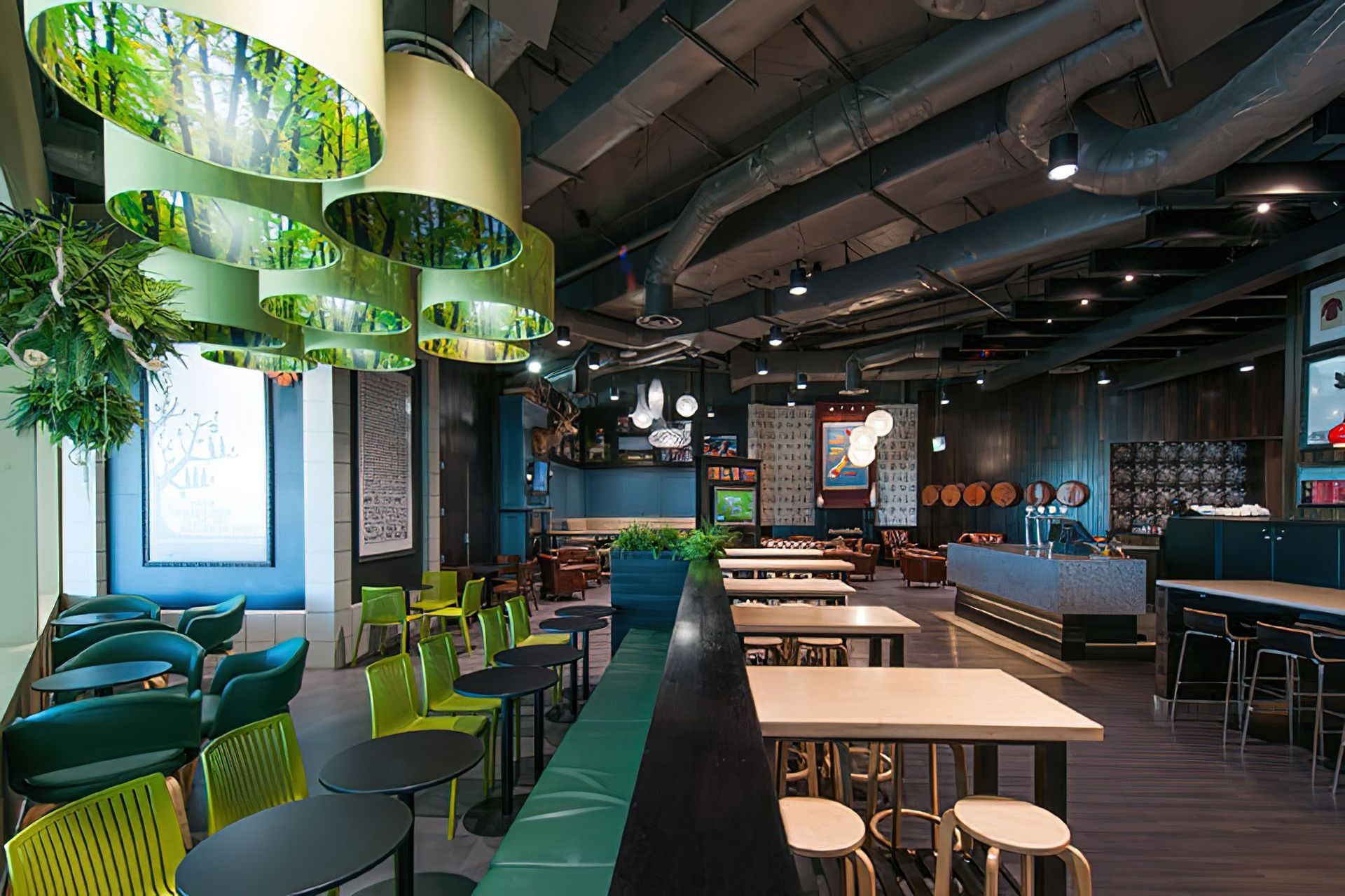 South Bar &amp; Cafe