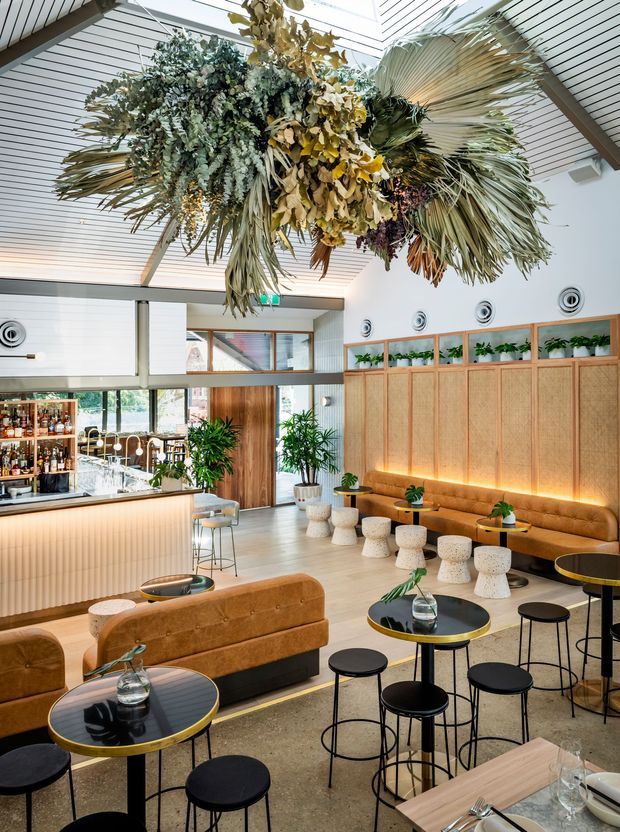Bright contemporary hospitality interior featuring a bar and lounge seating area. The space has a high glazed ceiling, exposed timber framing, a ribbed light-toned bar front, warm timber and rattan wall panelling, built-in caramel banquette seating, black round café tables, and abundant dried botanical ceiling installations and potted plants.