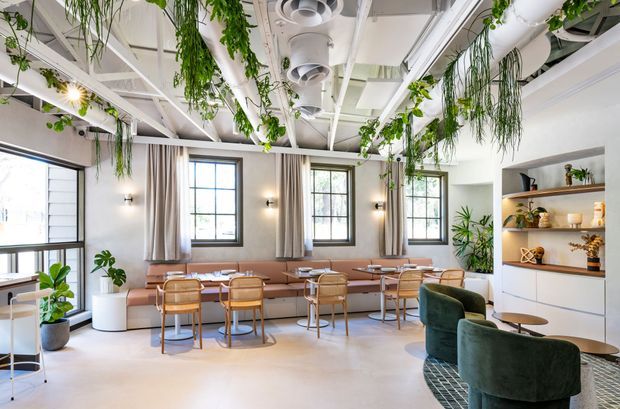 Bright contemporary commercial hospitality interior with cafe-style dining tables, banquette seating, lounge chairs, large industrial windows, exposed white services and ceiling structure, and abundant hanging greenery. Built-in display shelving and a polished, airy fit-out contribute to a refined yet organic atmosphere.