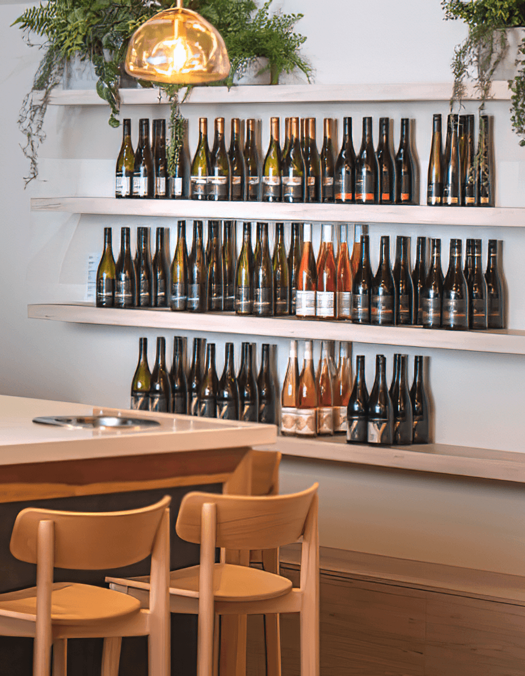 Yealands Wine Tasting Room