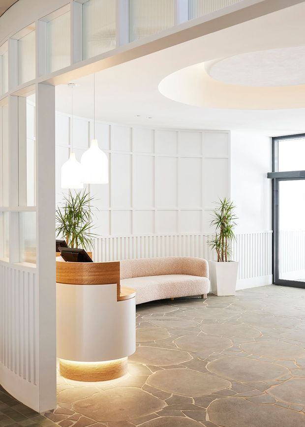 Bright, refined reception or lobby interior with a curved illuminated timber-and-white reception desk, pale boucle sofa, tall potted plants, white panelled walls, fluted privacy glazing, and a large dark-framed glazed door. The space features a dramatic curved ceiling recess and irregular natural stone flooring.
