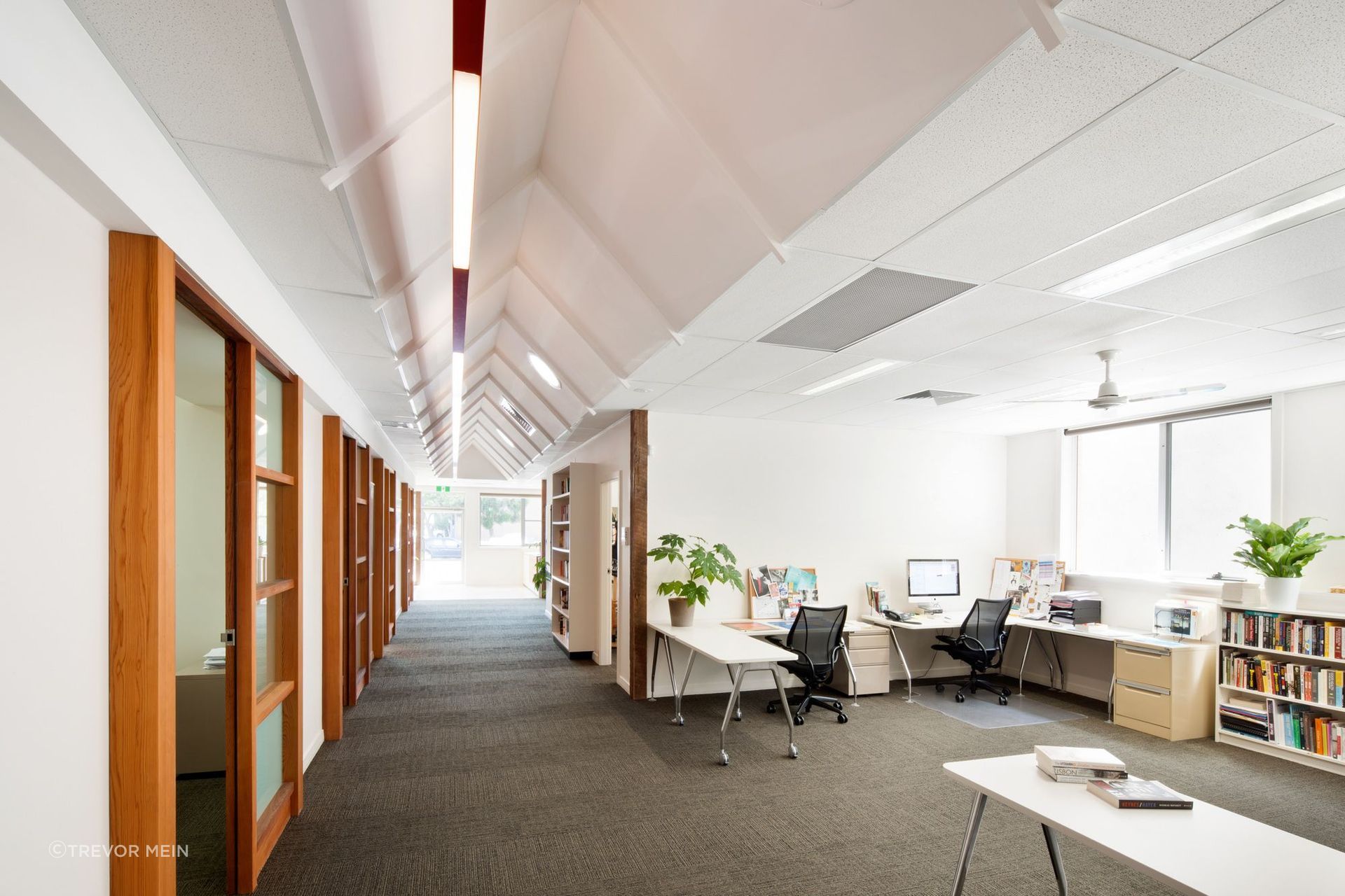 Pitched ceiling line creates an open connection across the open plan work spaces