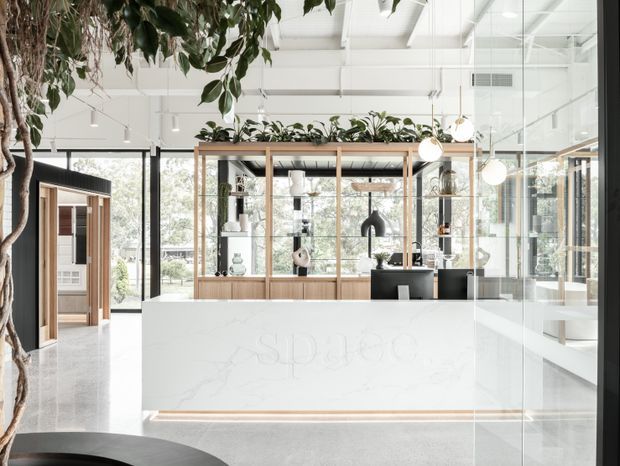 Bright, contemporary commercial reception or showroom interior with a large white stone reception counter, glass display shelving framed in timber, black accents, pendant globe lighting, polished concrete flooring, extensive glazing, and indoor greenery. The space has a high exposed white ceiling and an airy, refined presentation.