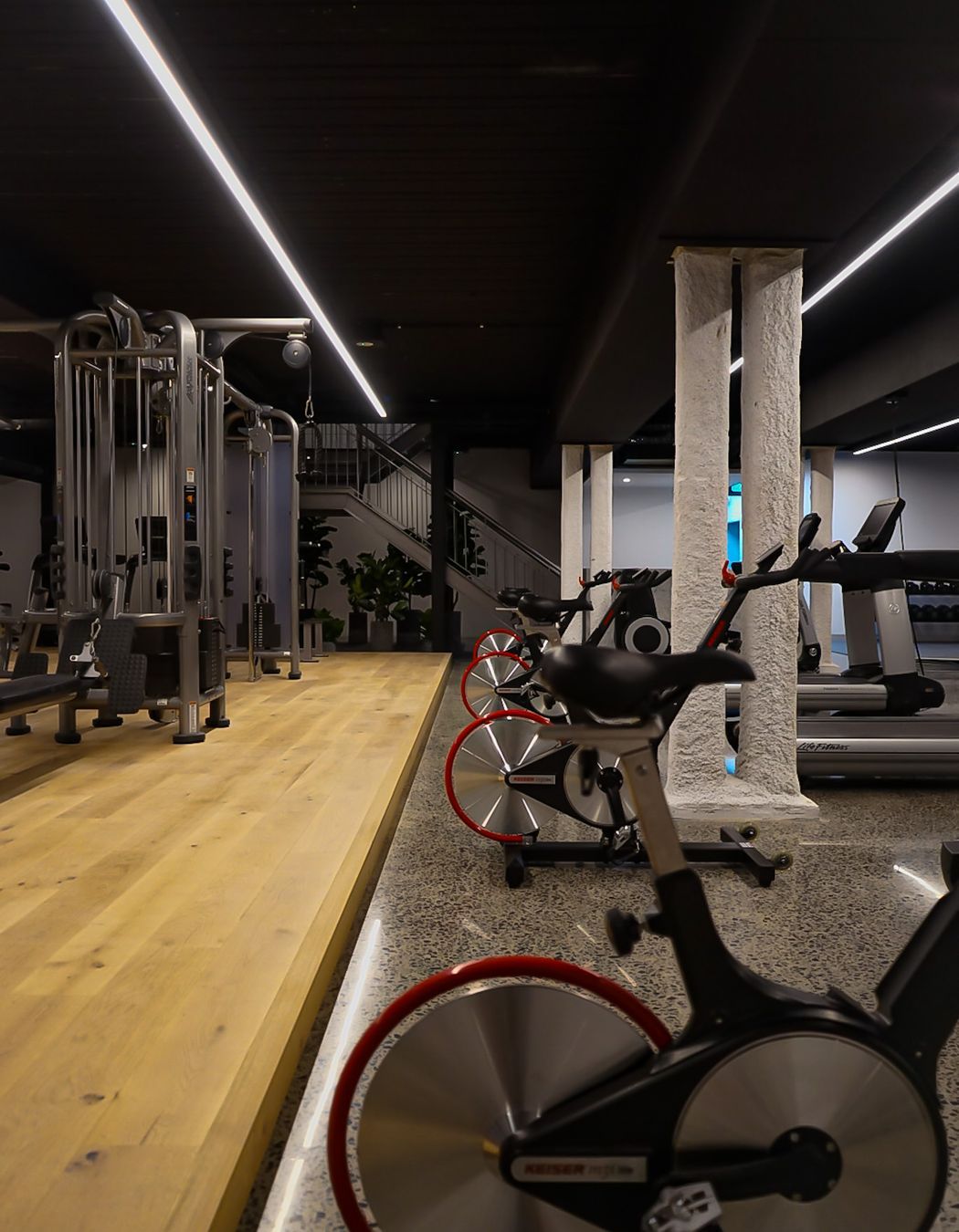 The Renovator Sorrento