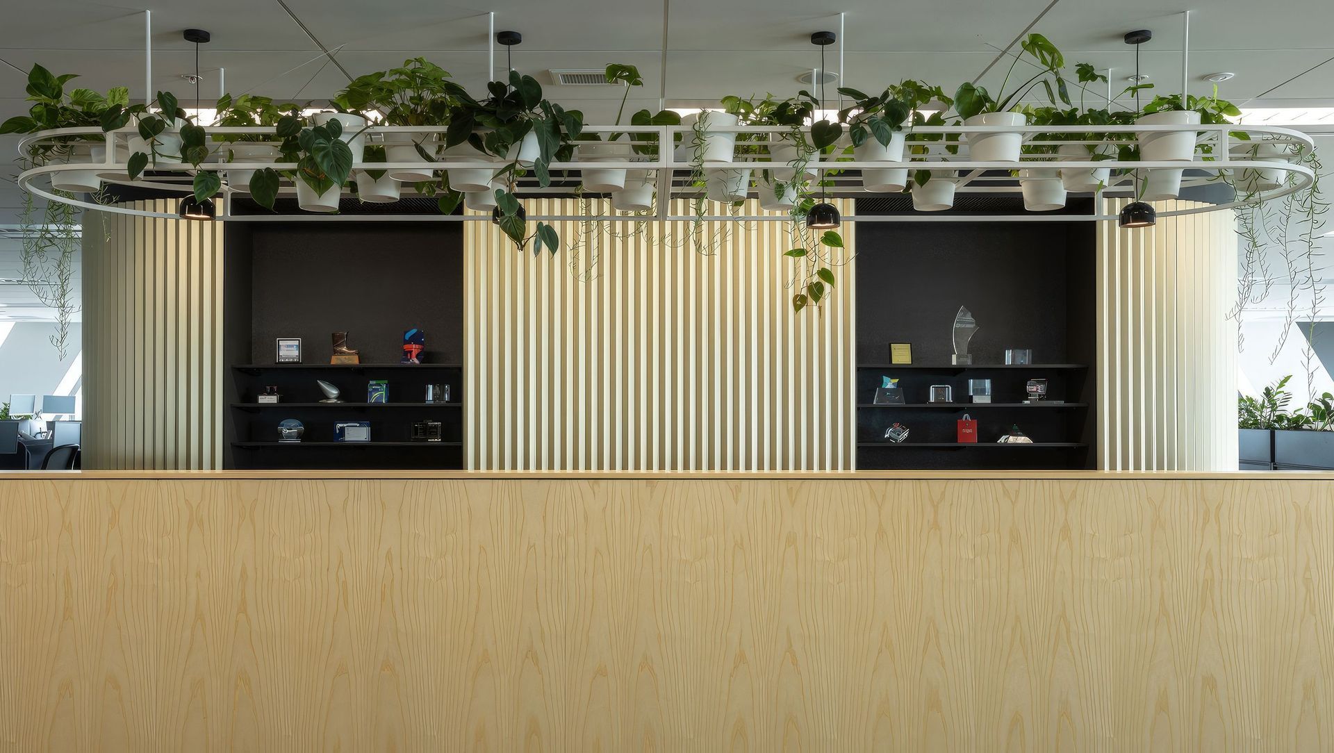 Chapman Tripp banner