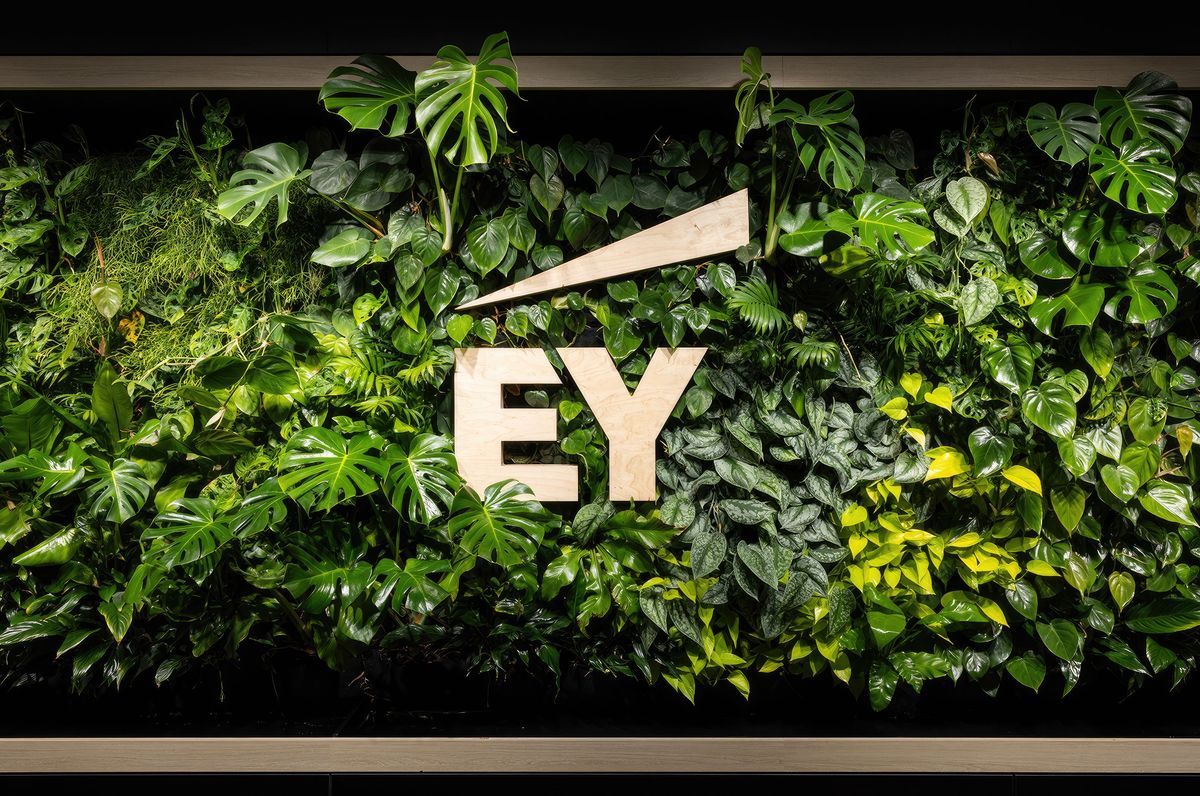 Ernst and Young