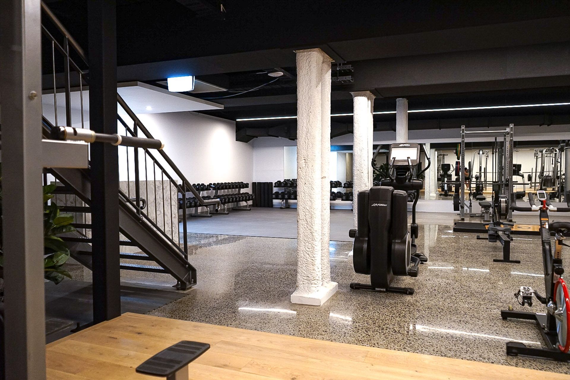 The Renovator Sorrento