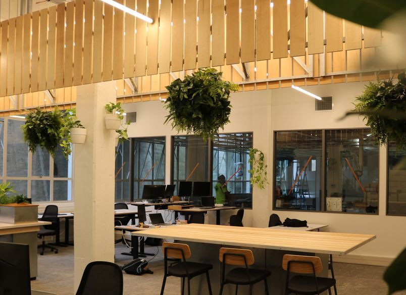 Ruminant Biotech - Long term hire project