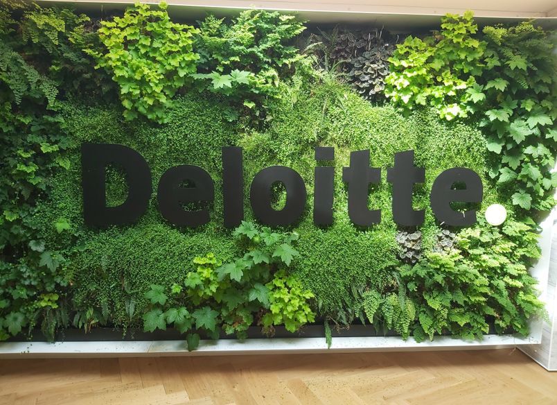 Deloitte Green Wall, Dunedin