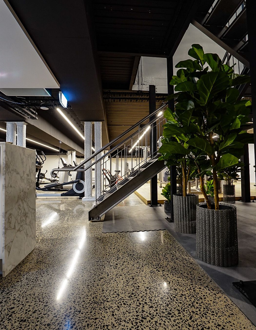 The Renovator Sorrento