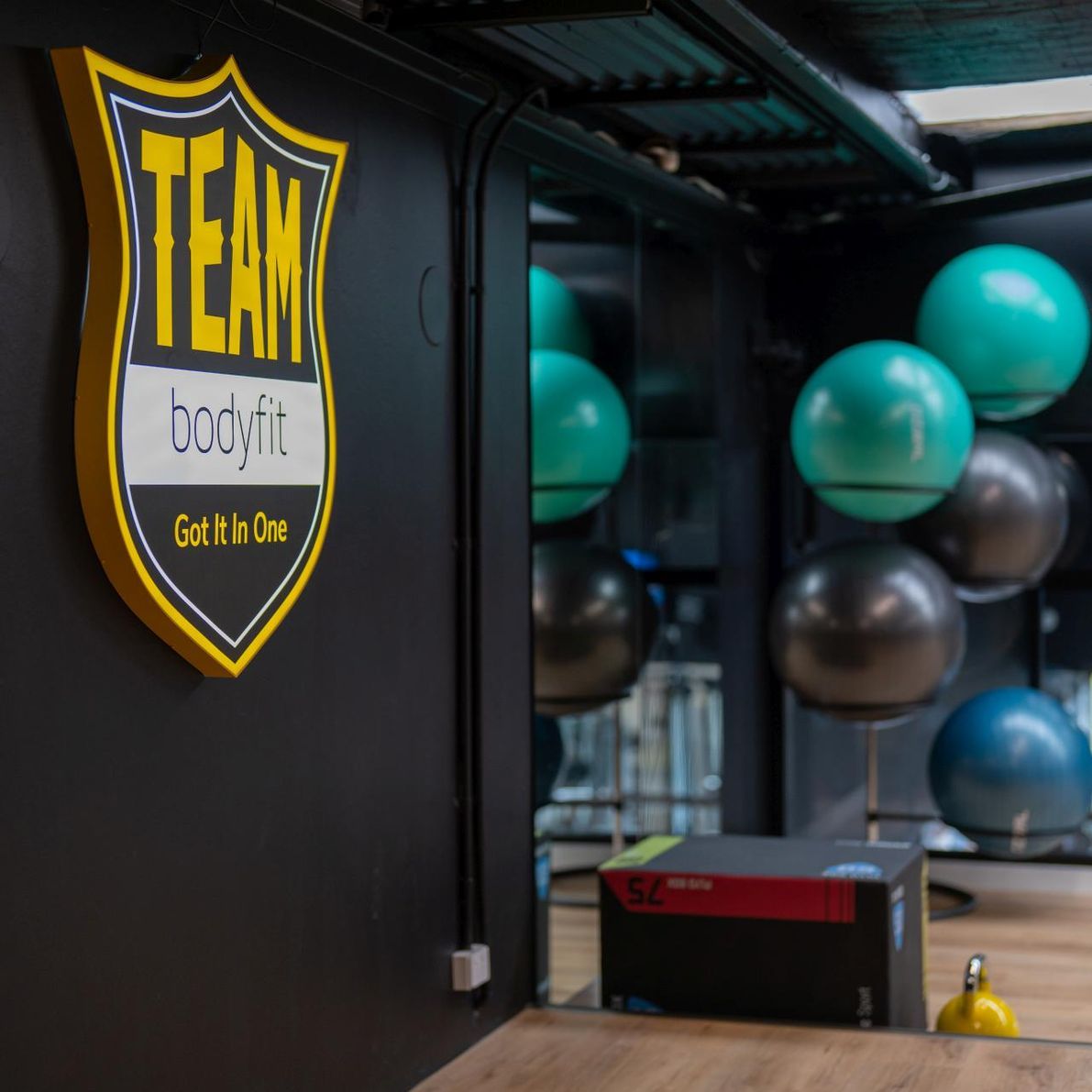 Bodyfit20.jpg