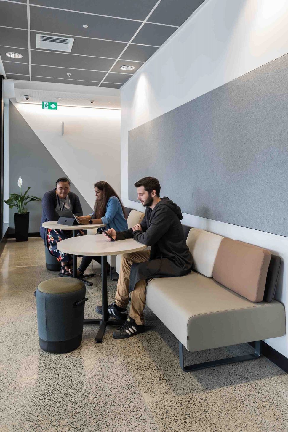Media Design School