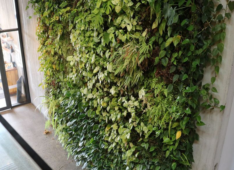 Ceres Organics - Plant Wall Maintenance At Height