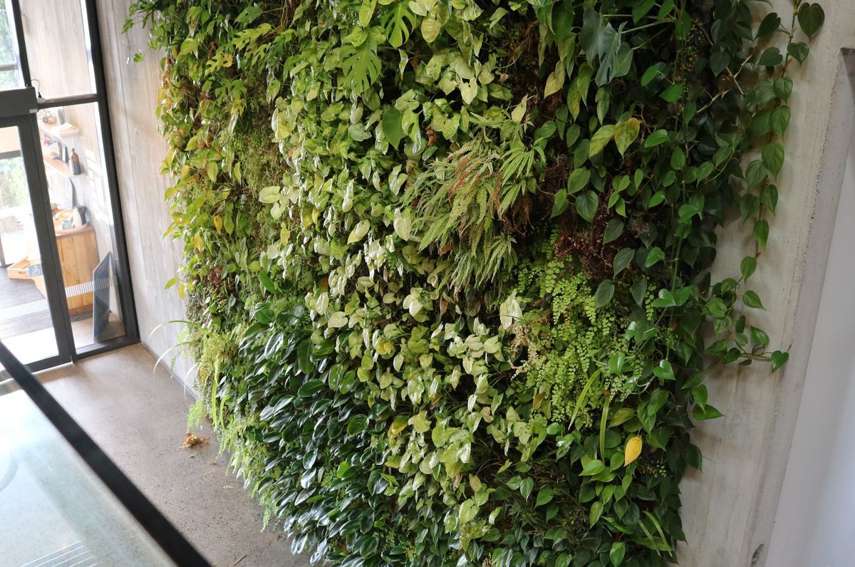 Ceres Organics | Plant Wall Maintenance At Height