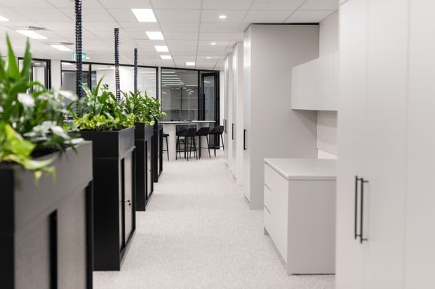 A bright, contemporary commercial office interior viewed along a central corridor. The space features white built-in cabinetry and storage on the right, black-framed glazed meeting rooms and doors at the rear, integrated planter boxes with lush greenery on the left, and a meeting table with stools in the background. The floor is light grey carpet or commercial flooring, with a white suspended ceiling and recessed lighting.