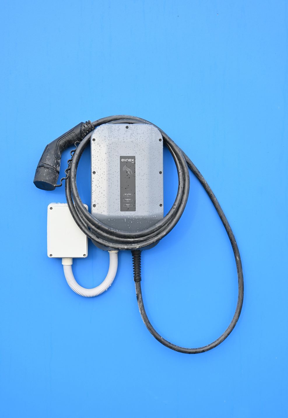 DSC2997-ap-compressed.jpg
