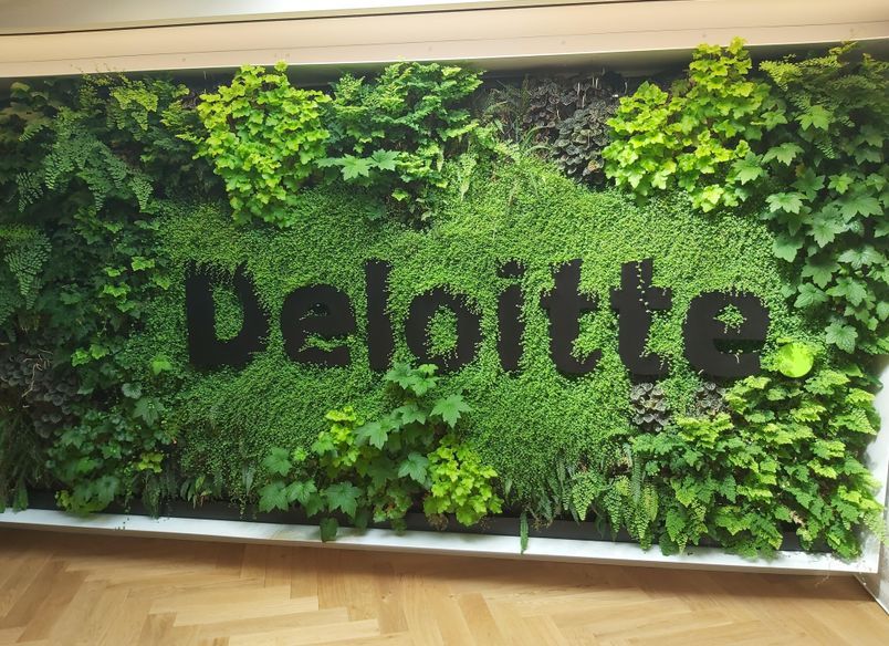 Deloitte Green Wall, Dunedin