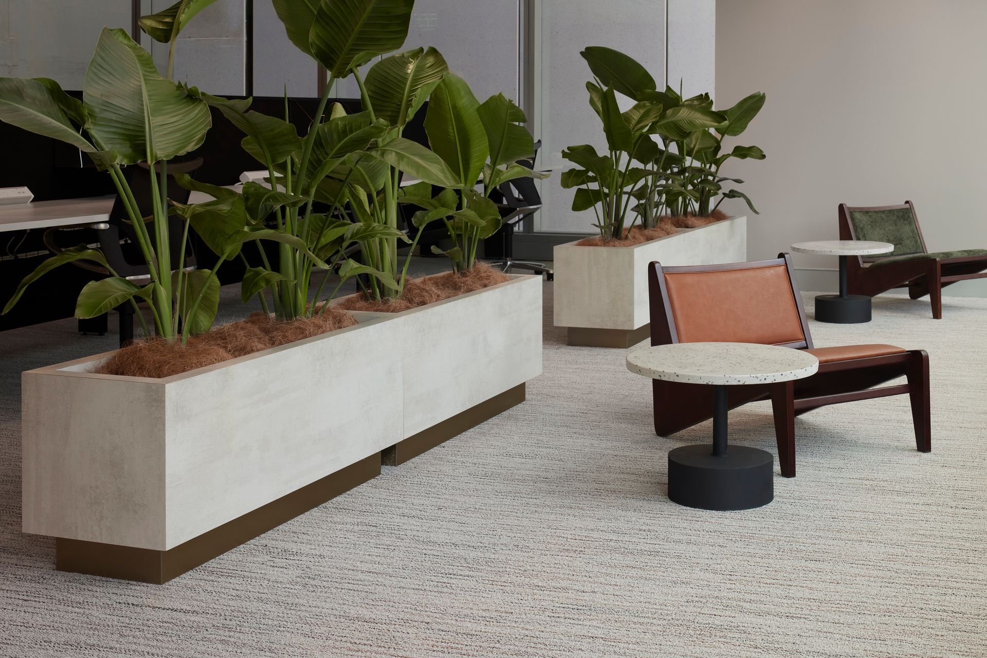 Dexus, 3/145 Ann Street