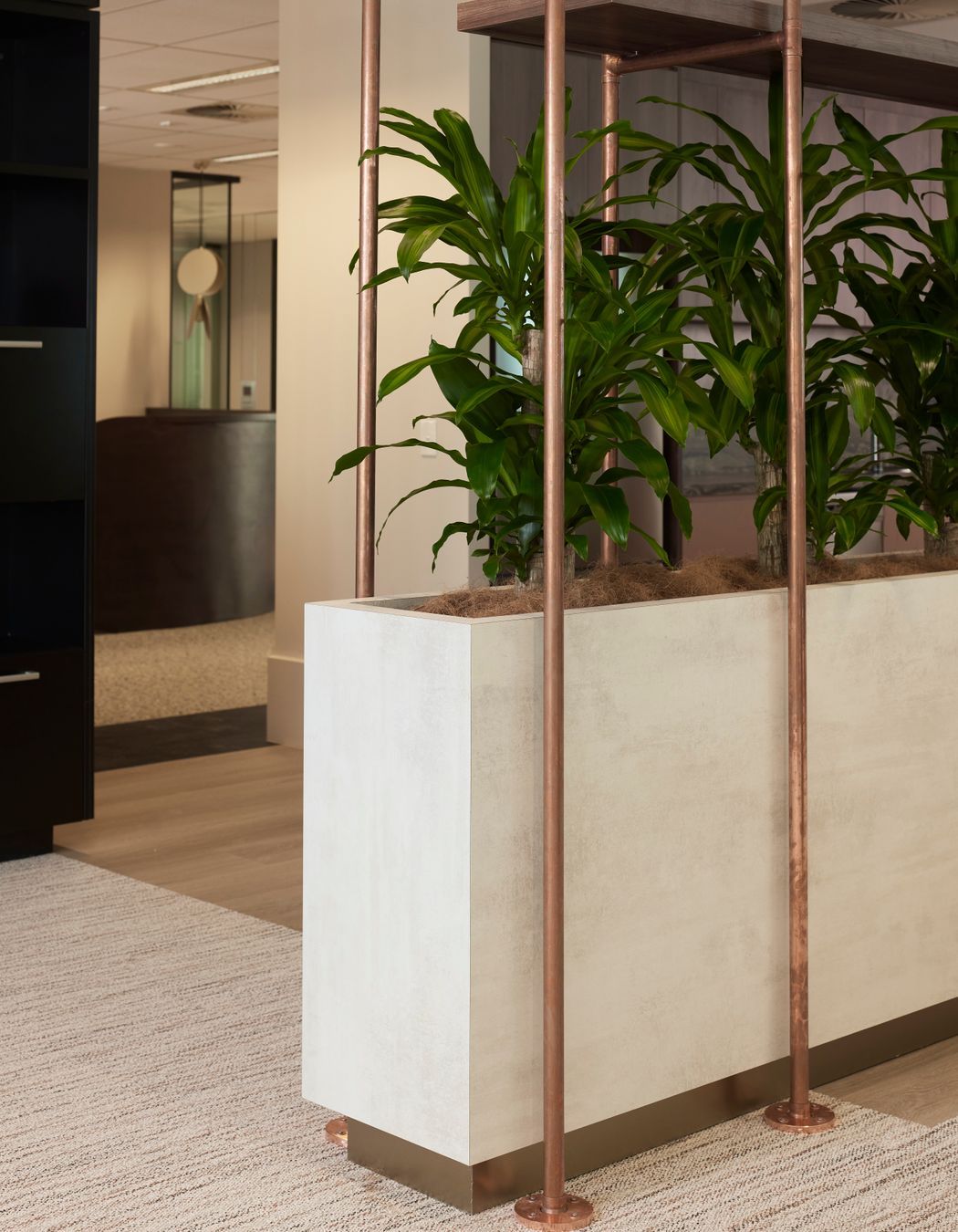 Dexus, 3/145 Ann Street