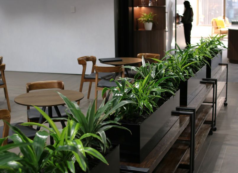 Dual - Long term hire project