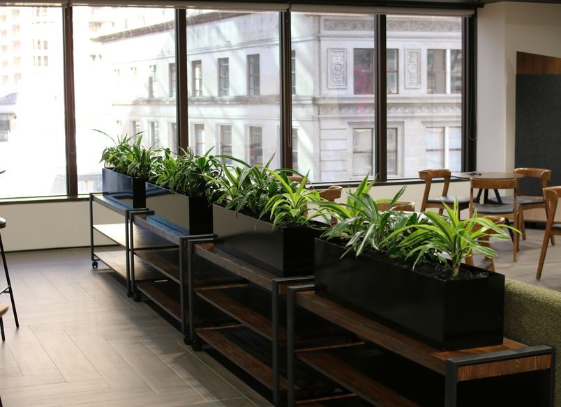 Dual - Long term hire project