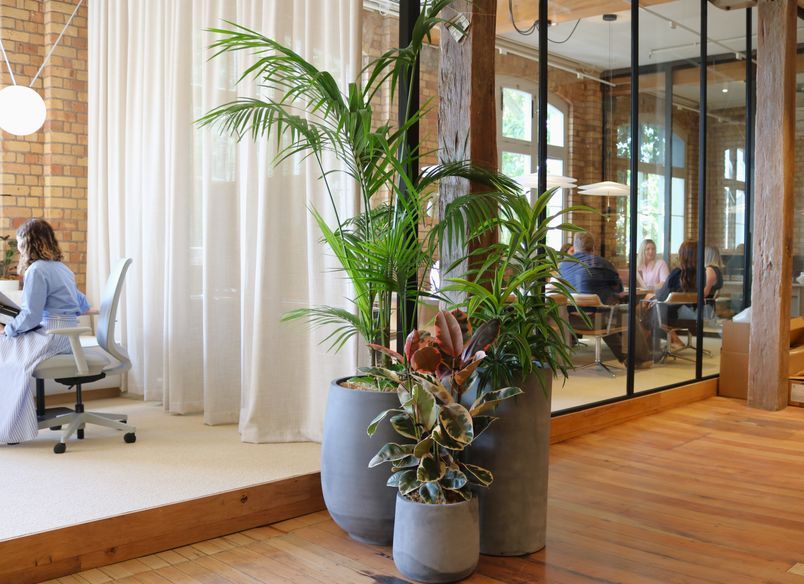 ArchiPro - Long term hire project