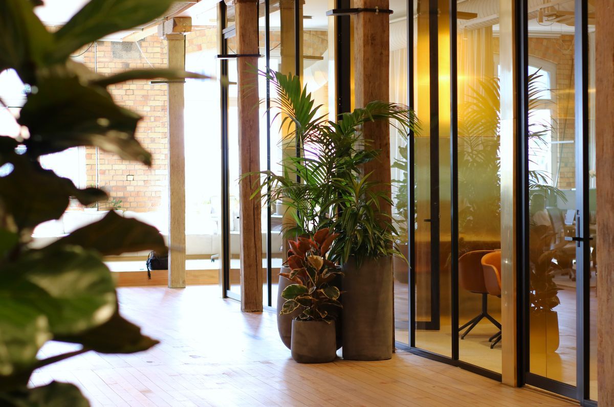 ArchiPro | Long term hire project