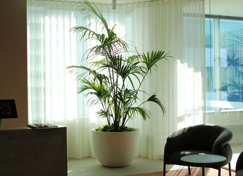 L'Oréal - Long term hire project