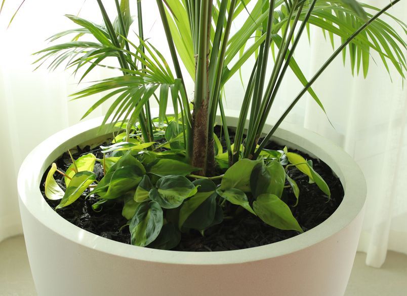 L'Oréal - Long term hire project