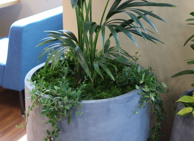 Salesforce - Long term hire project