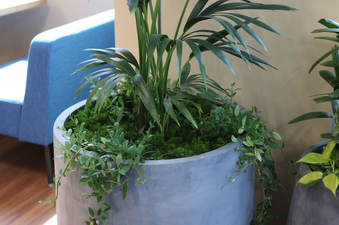 Salesforce - Long term hire project