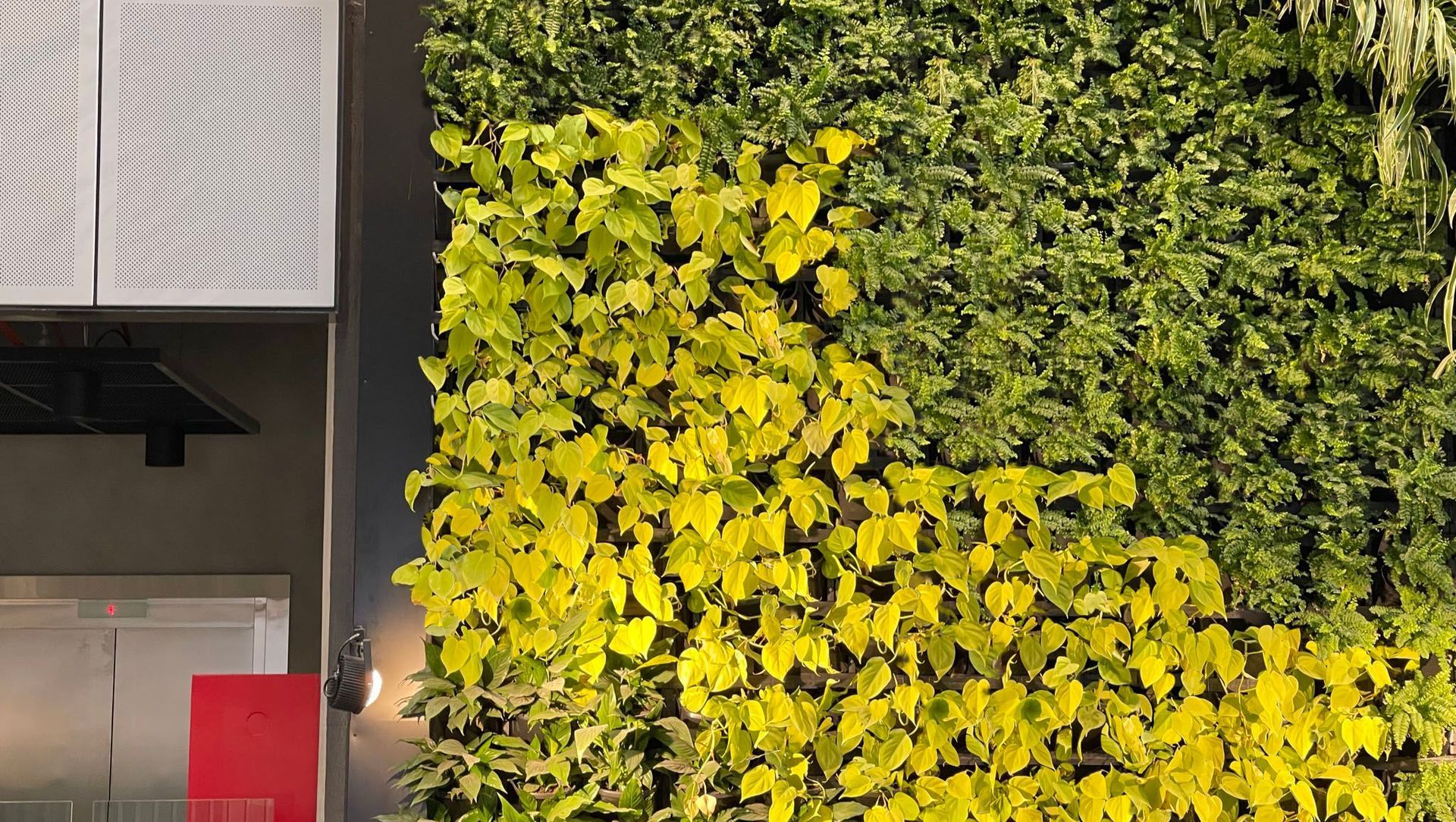 TAFE Meadowbank banner